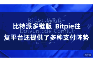 比特派多链版 Bitpie往复平台还提供了多种支付阵势