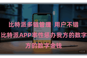 比特派多链管理  用户不错通过比特派APP率性惩办我方的数字金钱
