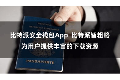 比特派安全钱包App  比特派皆粗略为用户提供丰富的下载资源