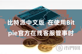 比特派中文版  在使用Bitpie官方在线客服管事时