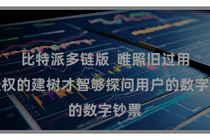 比特派多链版  唯照旧过用户授权的建树才智够探问用户的数字钞票